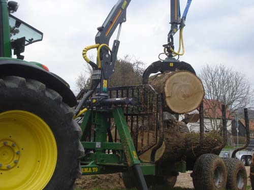 Eiche für Event 5.jpg