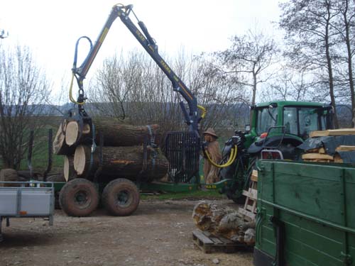 Eiche für Event 4.jpg