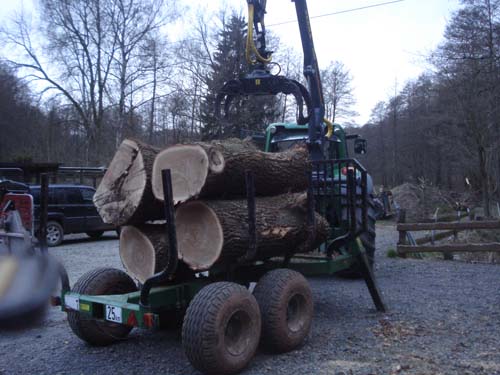 Eiche für Event 3.jpg