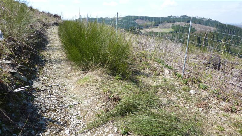 P1040768 (Medium).JPG