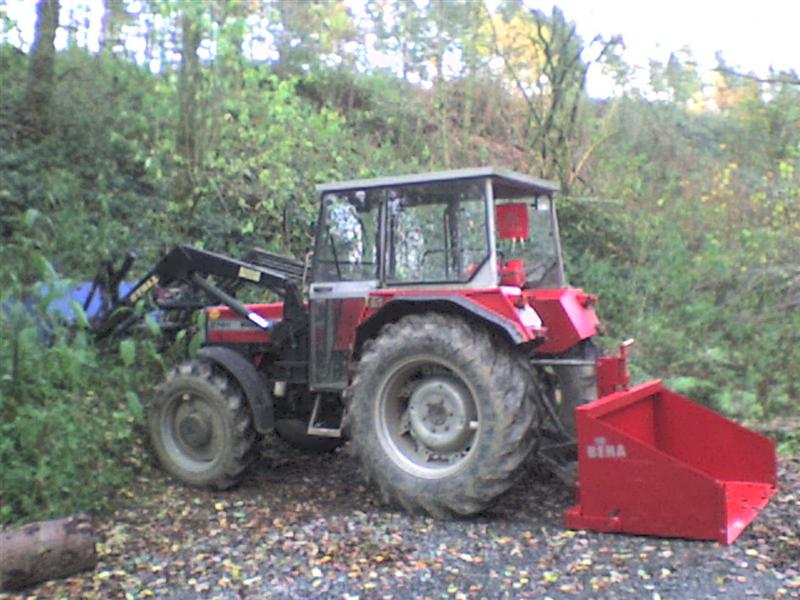 DSC00014 (Medium).JPG