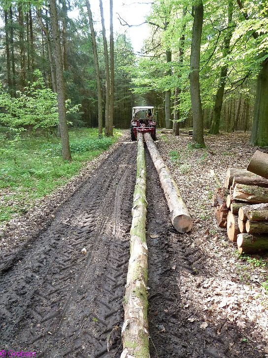 IHC mit Nokka Rückezange.JPG