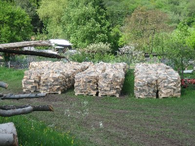 22.05.2010_001_400x300 01.jpg