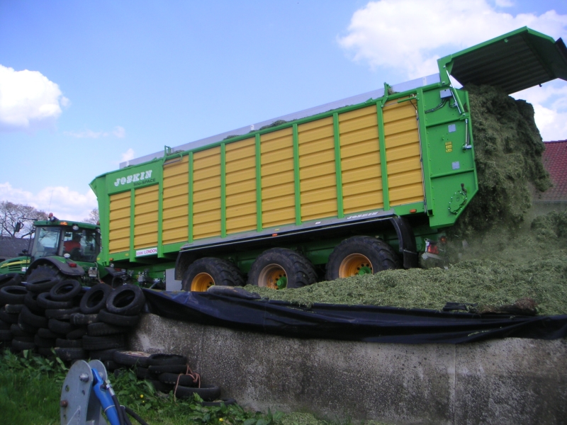 Erster Schnitt 2010 5.JPG