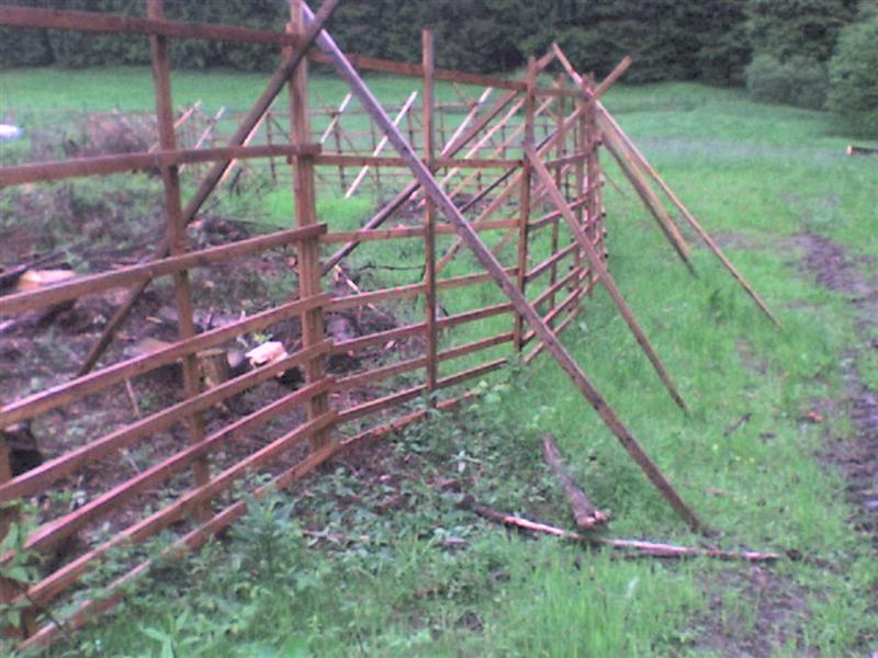 Wildschutz-Zaun 003 (Medium).jpg