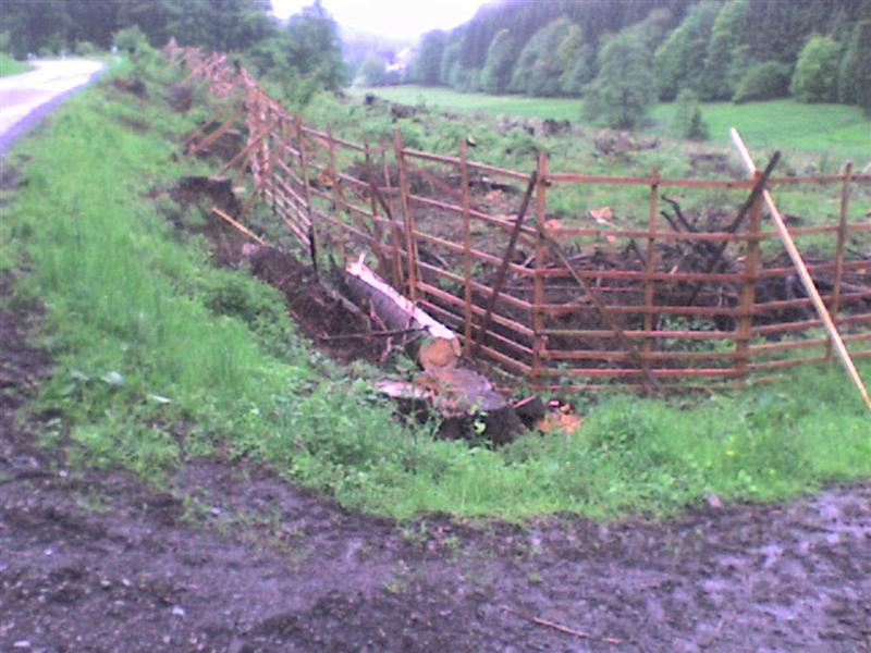 Wildschutz-Zaun 001 (Medium).jpg