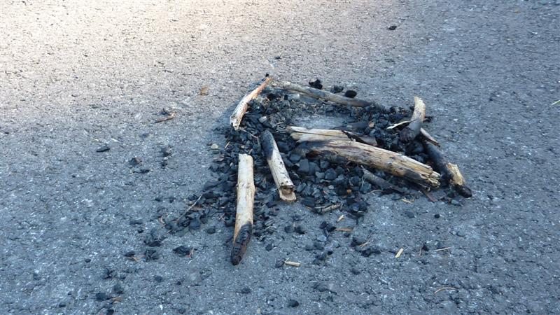 P1050061 (Medium).JPG