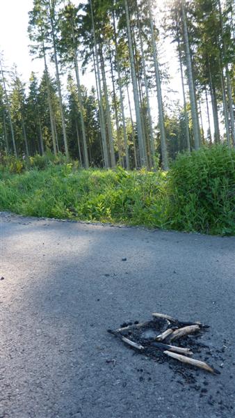 P1050065 (Medium).JPG