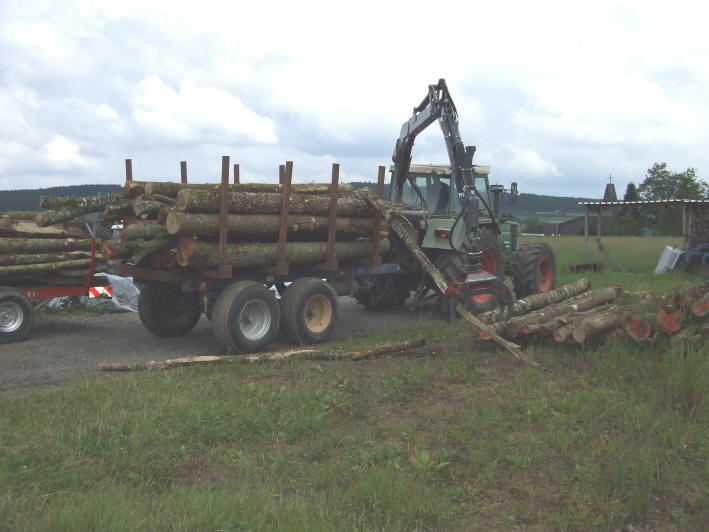 Holztransport3.JPG