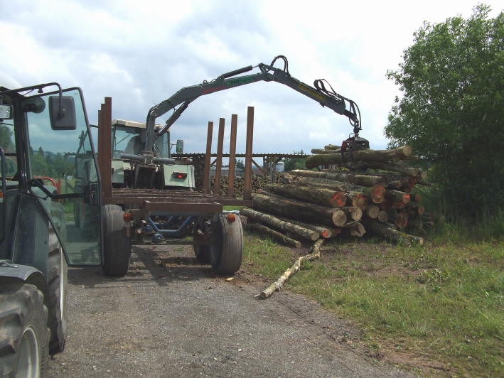 Holztransport4.JPG