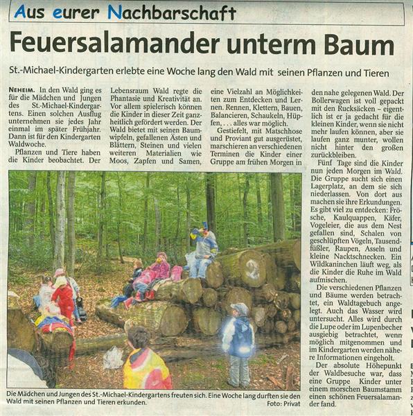 kindergarten im wald (Medium).jpg
