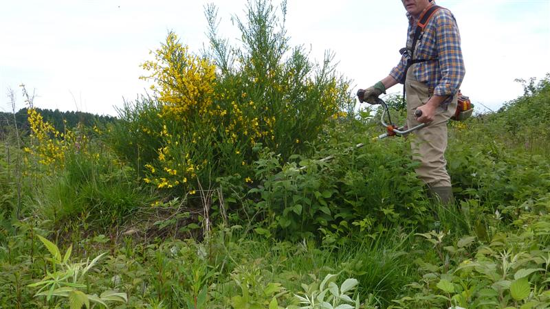 P1050732 (Medium).JPG