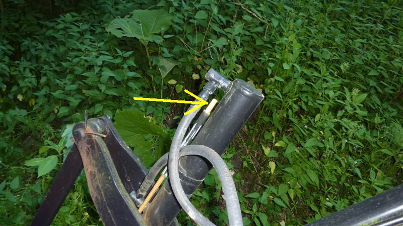 P1050772 (Medium).JPG