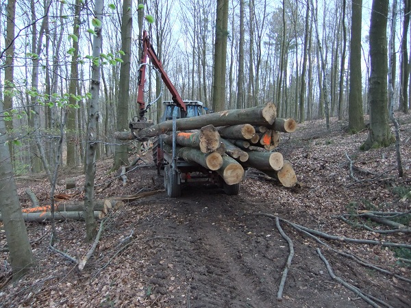 Douglasientransport und Kranunfall v. 10.04.2010 00511.jpg