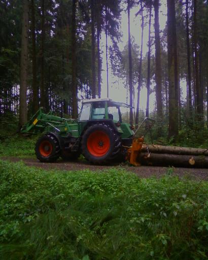 Windwurf rücken1.jpg