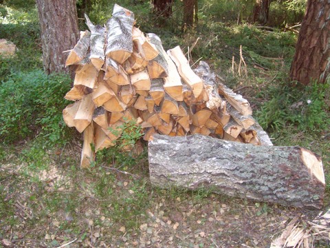 Brennholz aufarbeiten 0810 003.JPG