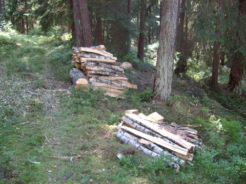 Brennholz aufarbeiten 0810 001.JPG