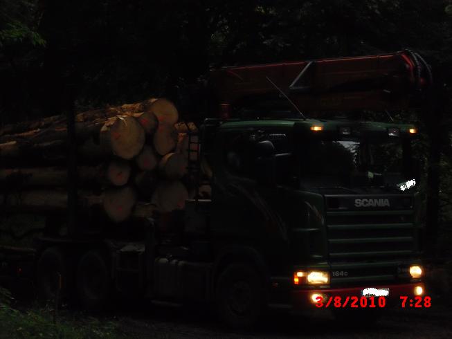 Langholz fruehmorgens.jpg