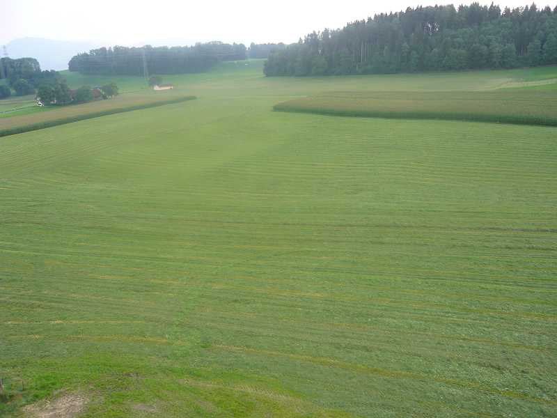 k-P1050058.JPG