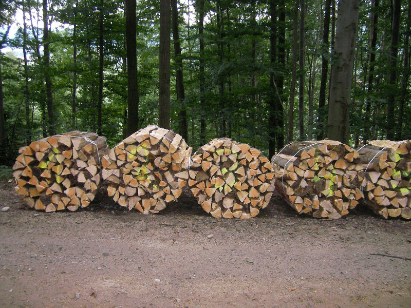 Bilder Bündel 3.jpg