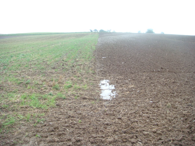 Grubber Pflug vor Raps.JPG