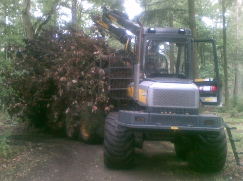 10092010(002).jpg