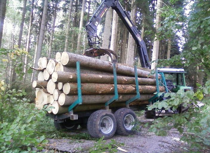 Käferholz Rücken2.jpg