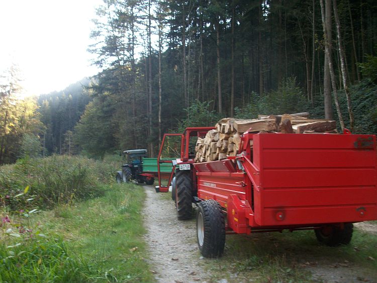 94.jpg