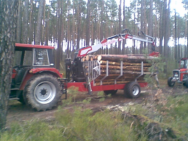 Bild037.jpg