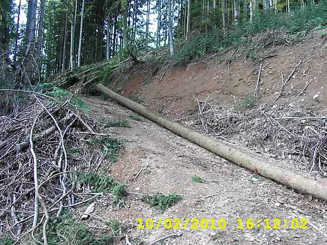 DSCI0021.JPG
