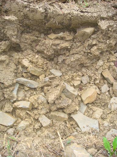 Muschelkalk in Franken.JPG