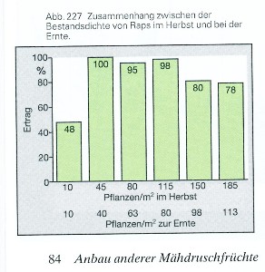 Raps Bestandsdichte und Ertrag.jpg