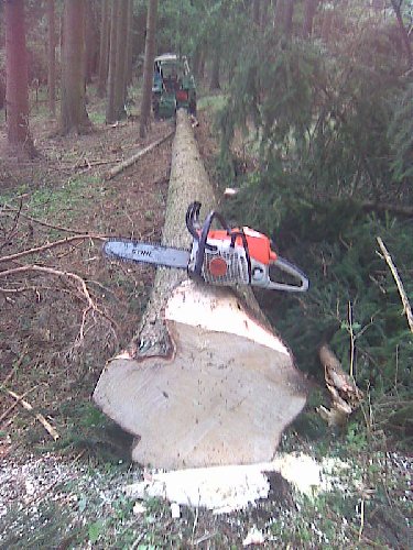 Bild358_375x500.jpg