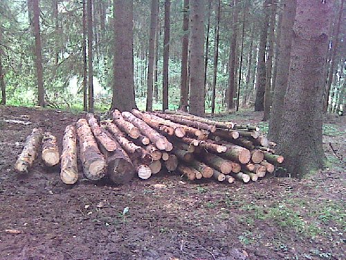 Bild350_500x375.jpg
