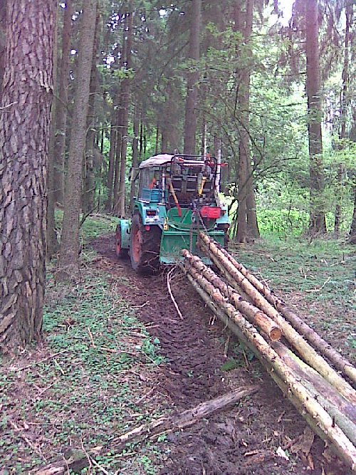 Bild346_500x667.jpg