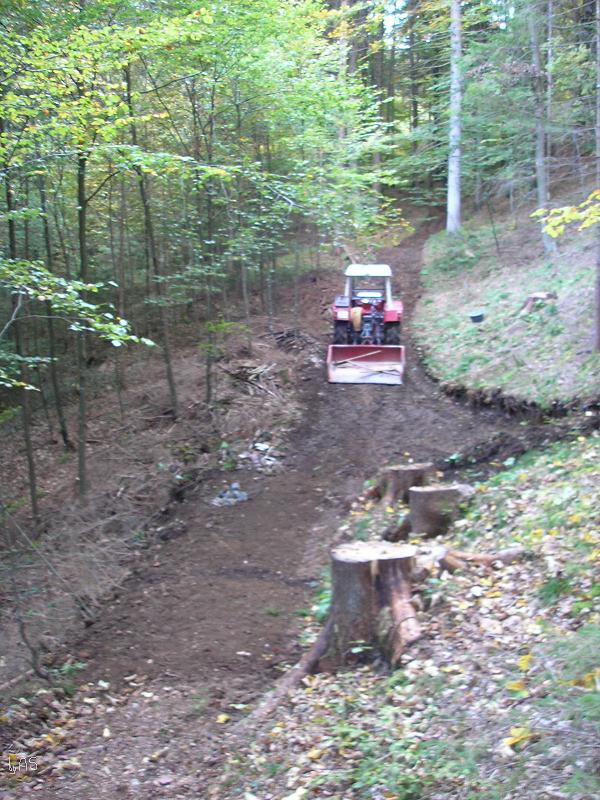 Wurzelstock_Umfahrung_PA0700142.JPG