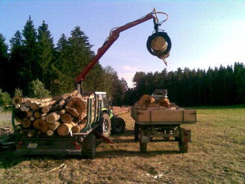 Bild316.jpg