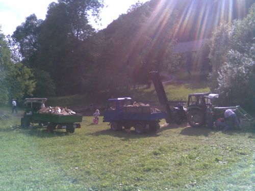 Bild323.jpg