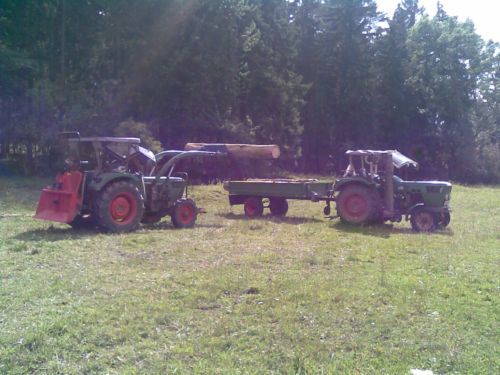 Bild321.jpg