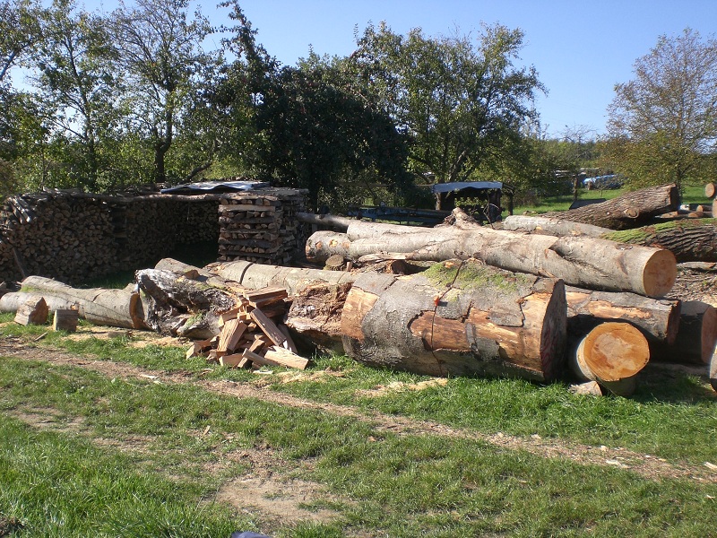 CIMG0992.JPG