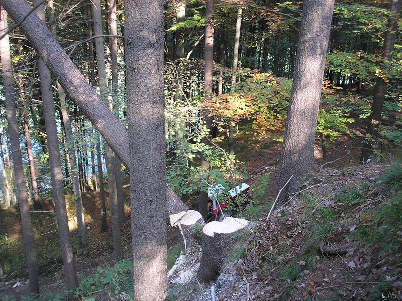 Hänger_PA120019_2.JPG