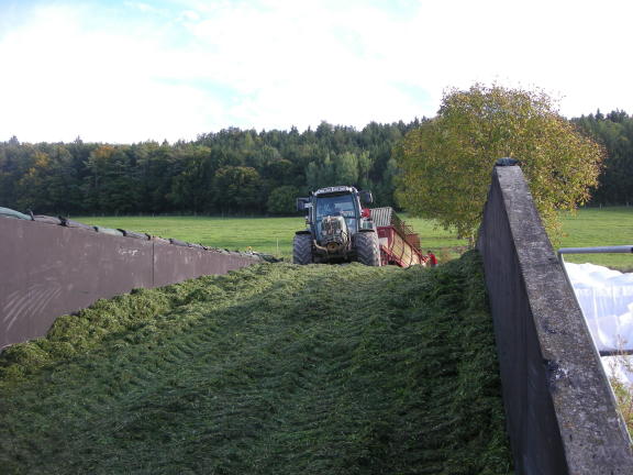 die letzten Fuhren.JPG