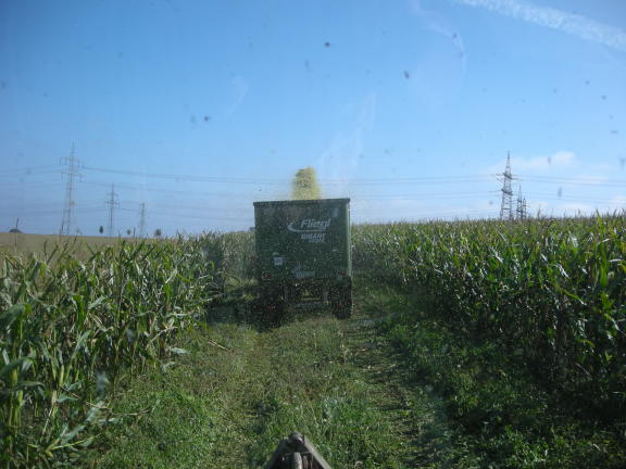 wieder anhäckseln.JPG