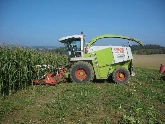 gleich gehts weiter.JPG