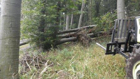 Sturmschaden4.JPG