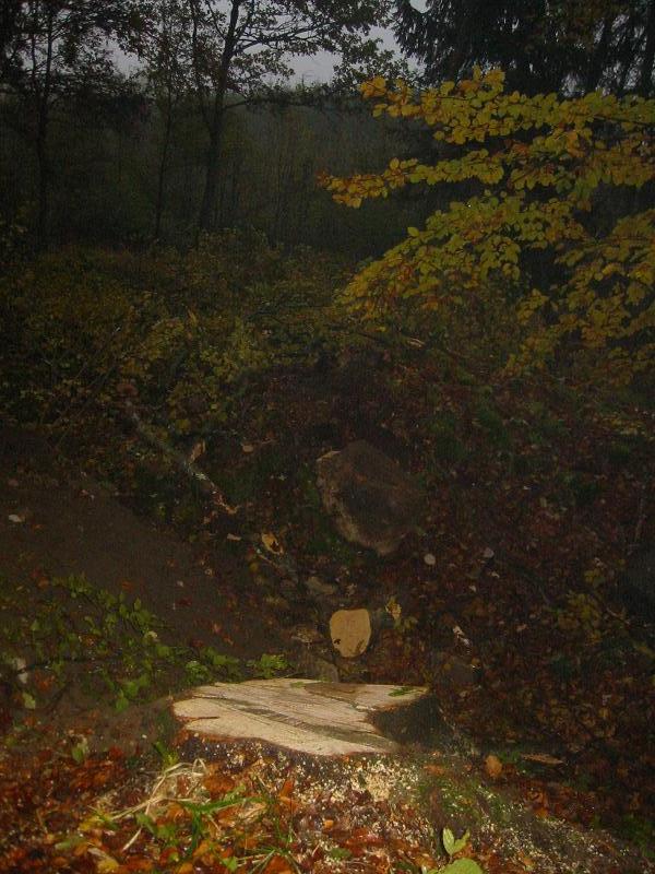 Holz 2010 003.jpg