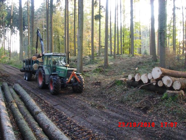 D-holz2.jpg
