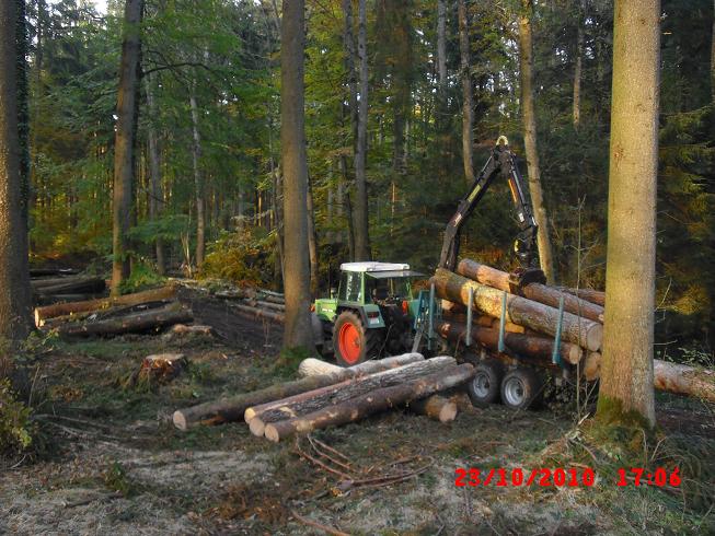 D-Holz.jpg