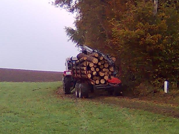 Bild012.jpg