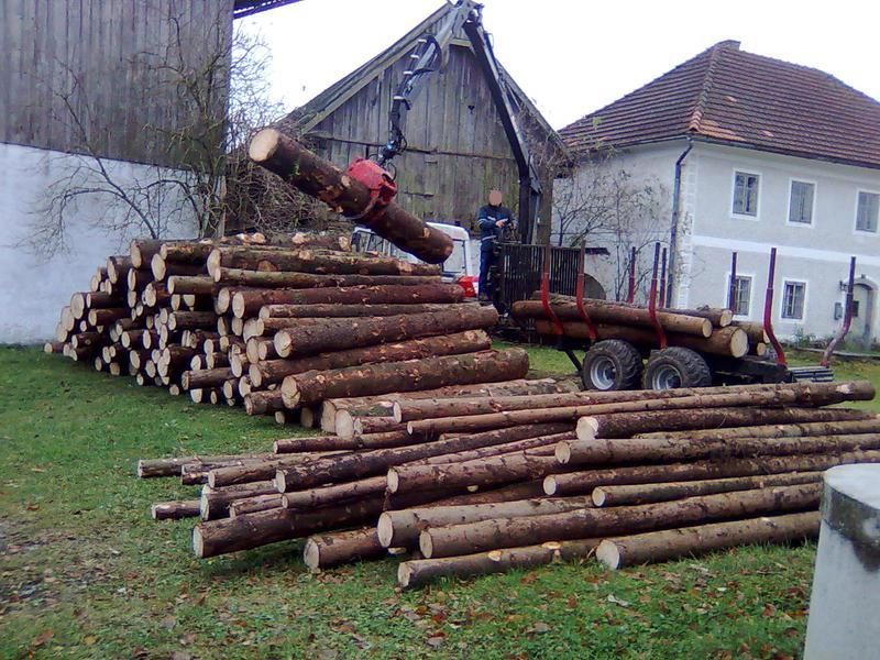 Bild015.jpg